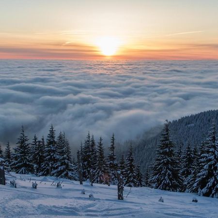 Penzion U PSTRUHA Modrava Esterno foto